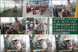 参观绿源山东工厂 严格工序与高科技打造产品